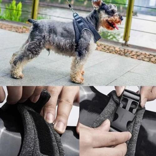 Breathable Dog Harness Leash Set Adjustable Puppy Cat Vest Nude Feeling Pet Chest Strap Outdoor Lead French Bulldog Chihuahua