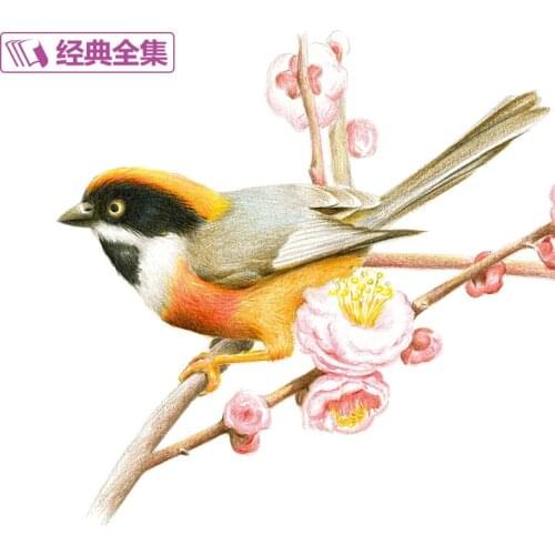 Newest Chinese pencil flower bird drawing book 21 kinds of Flower Painting watercolor color pencil textbook Tutorial art book