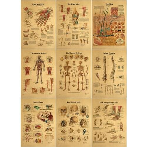 The human body muscular system Structure HD Vintage Paper Poster Bar Home Decor Retro Kraft Paper Painting 42x30cm