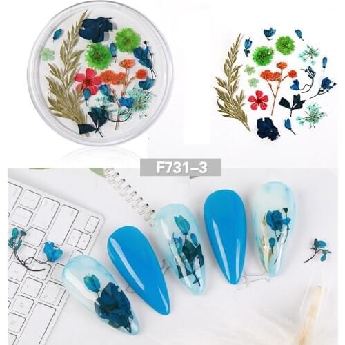 1 Box Japanese Dried Flower Nail Decoration Natural Floral Sticker Mixed Real Flower DIY Nail Art Decal Jewelry Gel Polish Decor