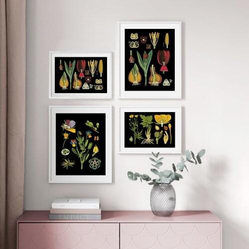 Vintage Botanical Prints Wildflower Prints Painting Posters French Plant Illustrations Wall Art Prints
