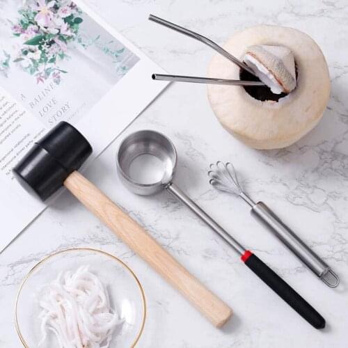 Coconut Opener with Hammer Stainless Steel Scraper Young Mature Coconuts Opening Tool Kit for Meat Removal
