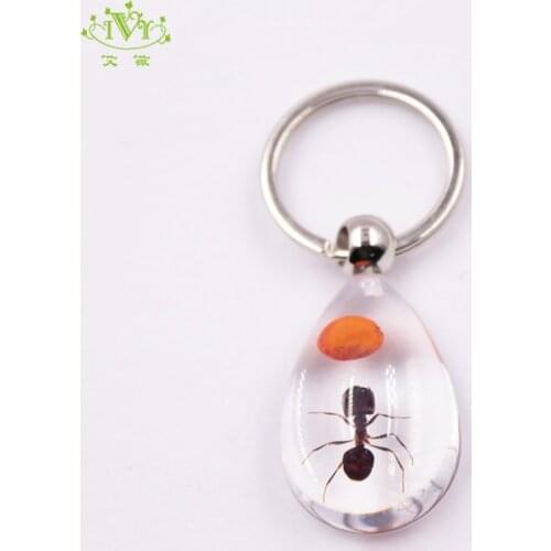 Transparent Ant Red Bean Keychain Animal Trinket Key Rings Unique Llaveros Para Mujer Netural Insect Key Chain Gift for Kid Man