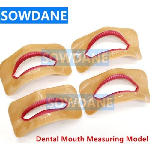 4 pcs Dental Lab Denture Laboratory Mouth Measuring Lip Measurement Tool Lip Moldel Aesthetics Parts 4 pcs Different Shape