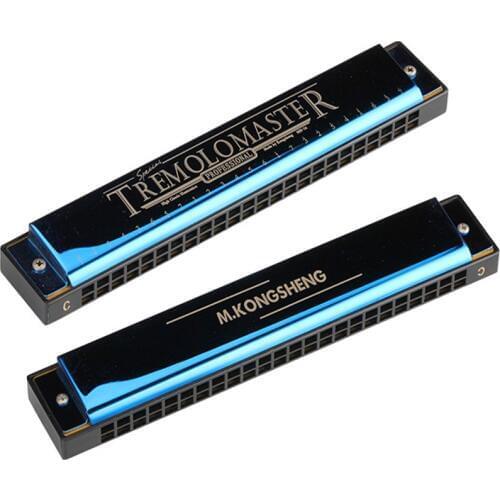 24 Holes Tremolo Harmonica C Tone Mouth Organ for Beginner Performer Harmonicon Training Musical Instruments Hobby Gift