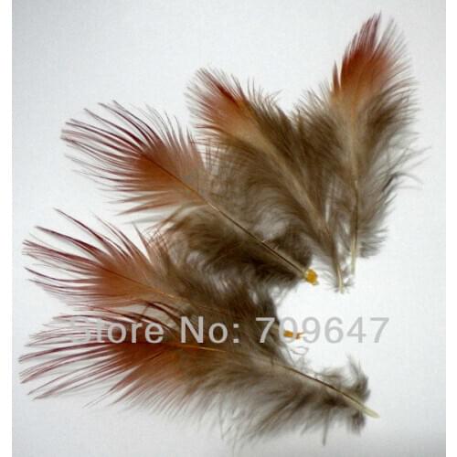 200Pcs/Lot 4-6cm Rusty Red Golden Pheasant Plumage Feathers,Golden Pheasant Feathers,plume decoration,feathers for crafts