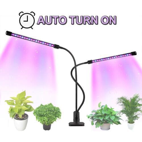 Greensindoor Lamps With Lampshade