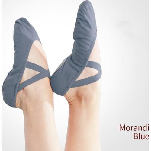 Women Ballet shoes Dance Adult Children Ballet Slippers Soft Sole Professional Canvas Dance Training Shoes for Ballet