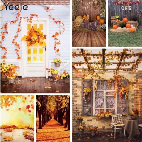 Yeele Spring Garden Flowers Arch Door Wedding Baby Photography Backgrounds Customized Photographic Backdrops For Photo Studio