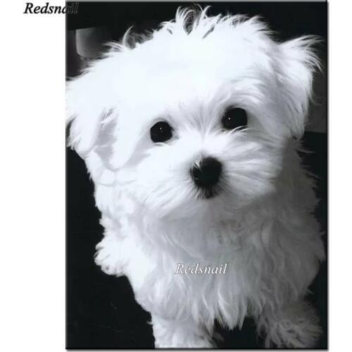 Full drill Animal dog Diamond Embroidery pet diy Diamond Painting Mosaic picture of rhinestone home decor wihte Maltese YY2405