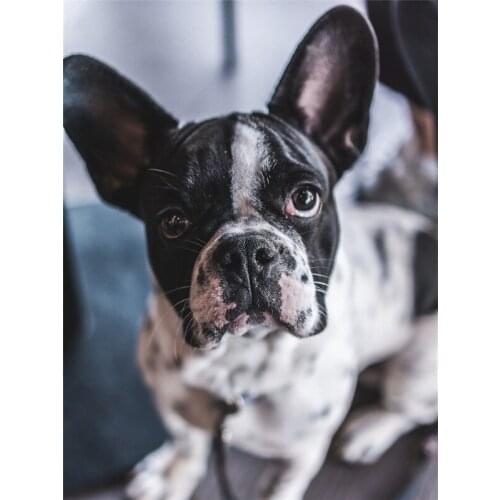 Love.Thanks Animal Diamond Embroidery Dog Diamond Painting Set Cross Stitch Diamond Art Painting Kits