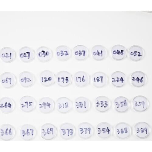 Animal Crossing Card (301 to 330) NFC 215 Card Work for NS Games Series 4