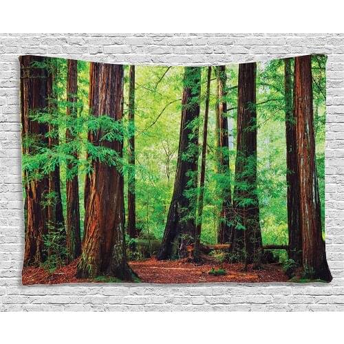 Woodland Tapestry Redwood Trees Northwest Rain Forest Tropical Scenic Wild Nature Branch Wall Hanging For Bedroom Living Room