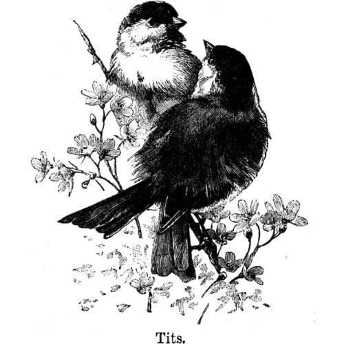 DABOXIBO Two Birds Clear Stamps Mold For DIY Scrapbooking Cards Making Decorate Crafts 2020 NEW Arrival