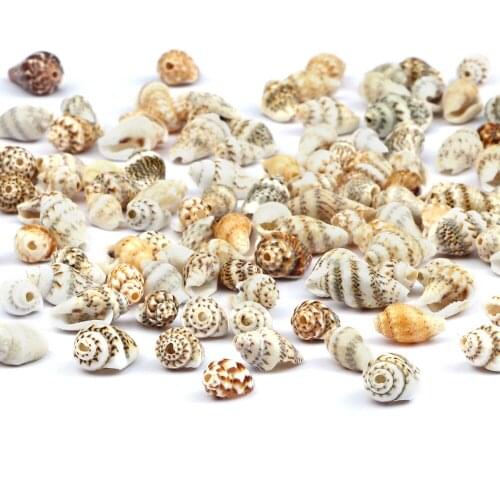 Mixed Wholesale Natural Small Conch Shape Beach Seashell Creative DIY Necklace Bracelet Anklet Accessories For Jewelry Gift Make