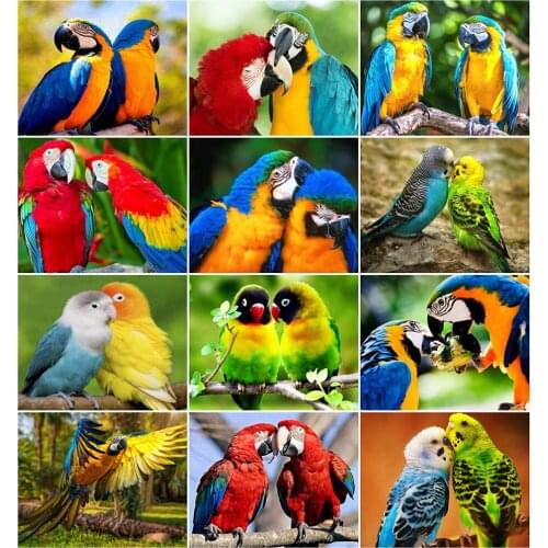 AZQSD Oil Painting By Numbers Canvas Animal HandPainted Coloring Draw Craft DIY Gift Pictures By Numbers Parrot Home Decoration