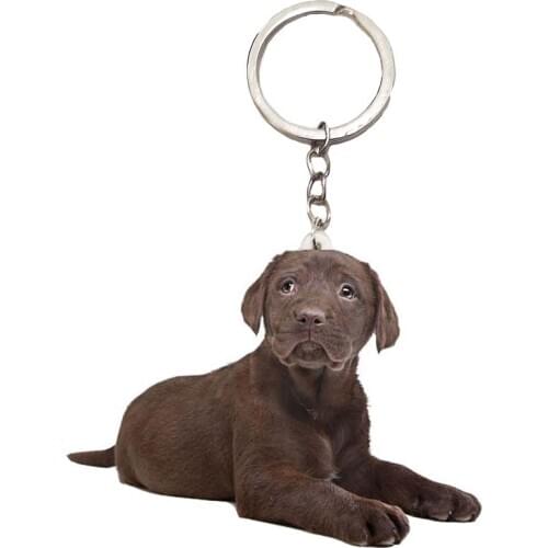 Labrador Dog Acrylic Cute Keyring Animal Sit charms Not 3D Dogs Keychain Men Car Key Chain Ring Gifts for Womens mini drop