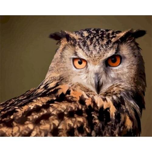 Owl Oil Painting By Number Animal On Canvas For Adults DIY Kits HandPainted Picture Drawing Coloring By Numbers Home Decoration