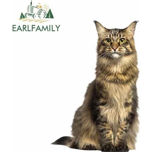 EARLFAMILY 13cm x 9.1cm for Norwegian Forest Cat Motorcycle Car Stickers 3D Funny Graffiti Sticker Fashion Motorcycle Bumper