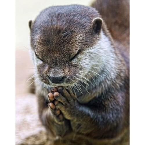 DIY Embroidery Full Square Round Diamond Painting Swiss Water Lazy Prayer Before Eating Cross Stitch Rhinestone Mosaic Art JX328