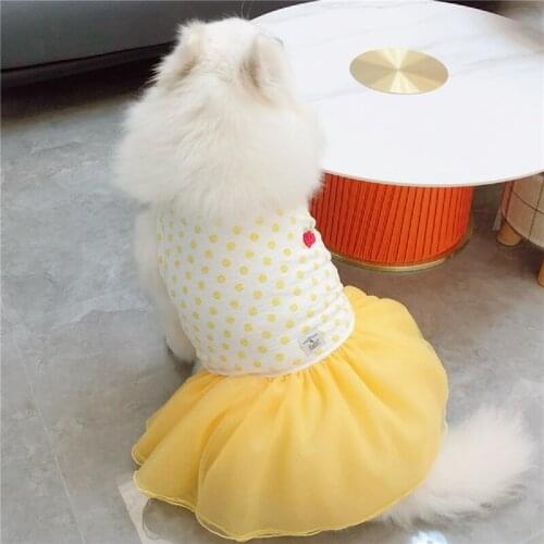Pets Product Summer Dog Clothes Giant Samoyed Retriever Dress