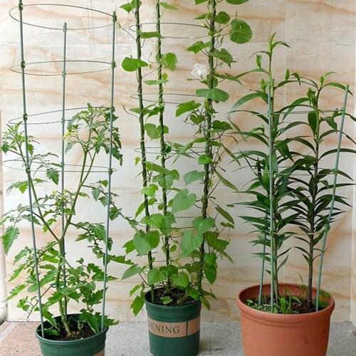 1pc Plastic Potted Vine Climbing Plant Support Rattan Frame Gardening Plastic Flower Pot Bracket 45/60CM