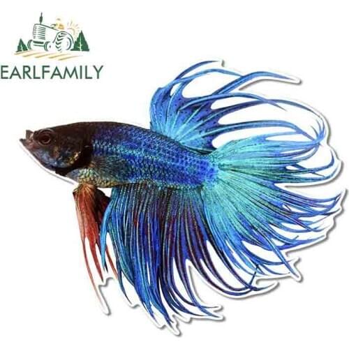 EARLFAMILY 13cm x 4.3cm for Betta Fish Personality Car Stickers Waterproof Window Trunk Decal Vinyl Car Wrap JDM Assessoires