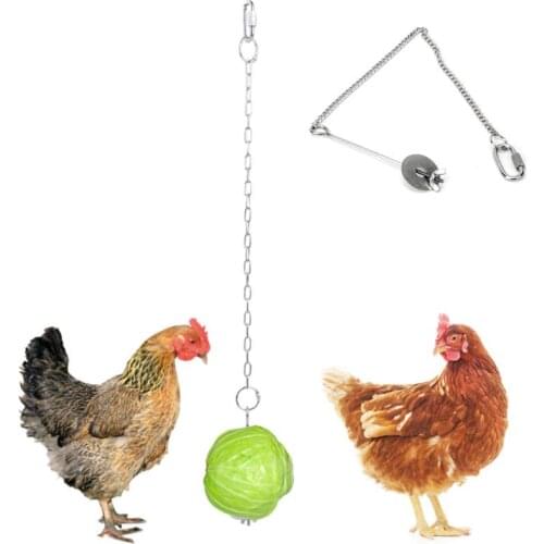 2pcs Stainless Steel Bird Chicken Skewer Food Holder Hanging Vegetable Feeder Foraging Toy Bird Treat Skewer Vogel Speelgoed