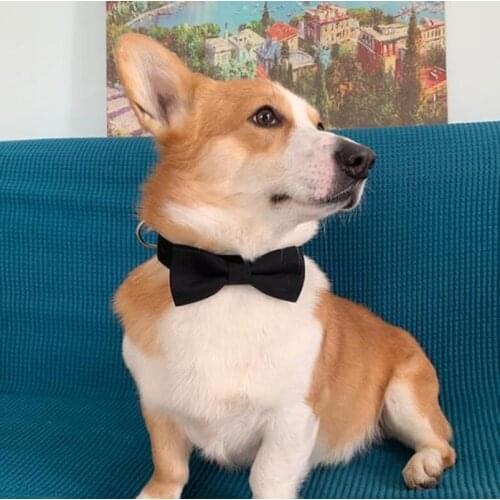 Pet Dog Cat Adjustable Bowtie Collar Neckerchief Fashion Dog Neck Collar Decor Accessories Print Bow Tie Collars for Dogs PDZL15