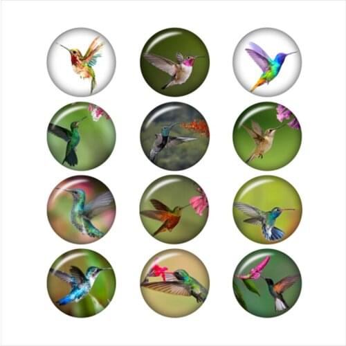 Mixed Glass Snap Button Jewelry Humming Bird For DIY 18MM Button Snap Bracelet Necklace Jewelry