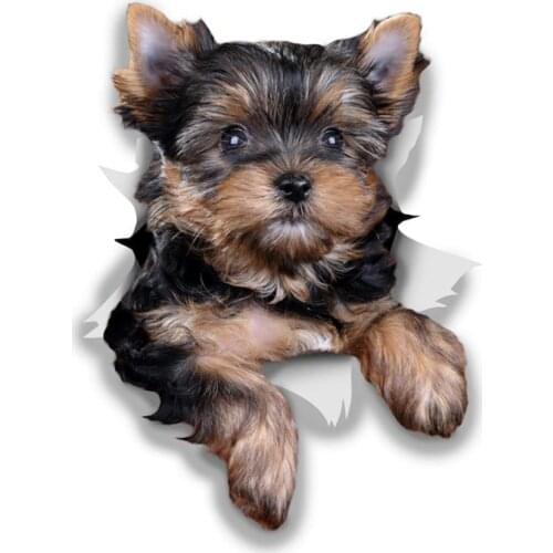 A0516# 13cm/17cm Removable Decal CUTE YORKSHIRE TERRIER Car Sticker Waterproof Accessories on Bumper Rear Window Laptop
