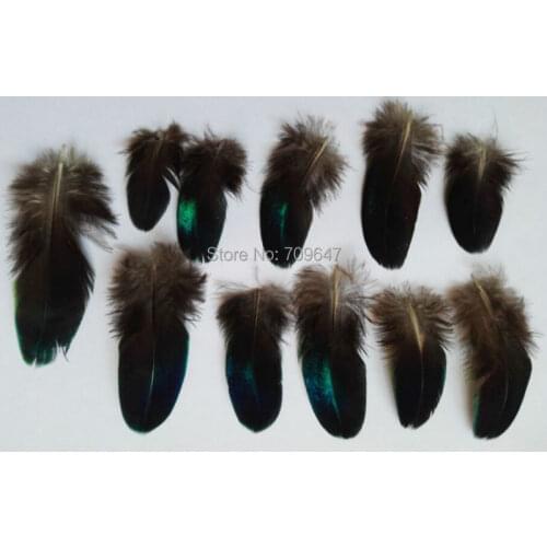 30Pcs/lot!5-10cm long Rare BLUE PEACOCK PLUMAGE WING FEATHERS LOOSE PEACOCK FEATHERS