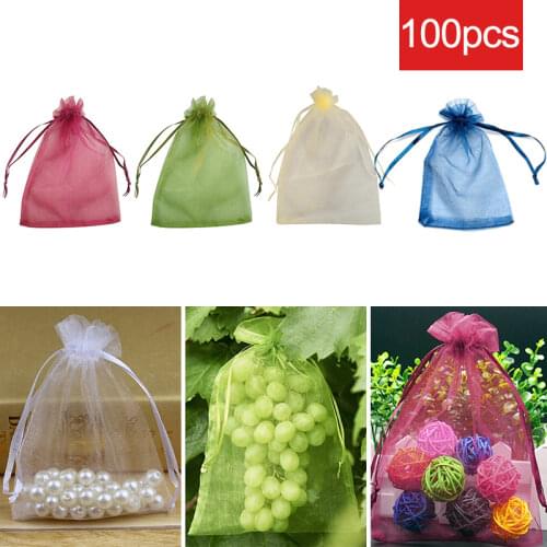 50pcs Garden Vegetable Fruit Grow Bag Plants Protection Bag Anti Bird Drawstring Netting Candy Makeup Mesh Pouch Pest Control