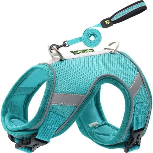 Adjustable Dog Cat Harness Leash Set Puppy Kitten Collar Reflective Pet Harness With Walking Lead For Small Medium Dog Chihuahua