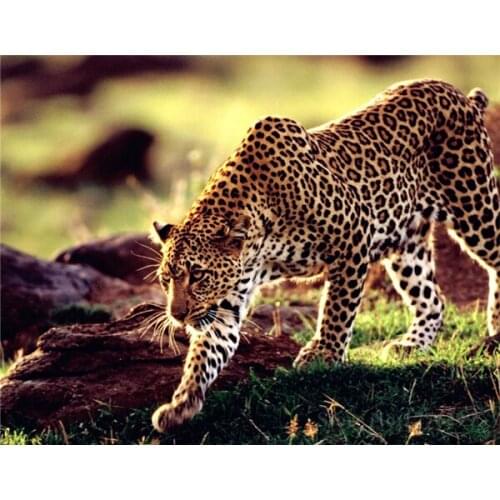 Diy Diamond Leopard Diamond Cross Stitch Resin Square/round Diamond Sets Unfinished Decorative Diamond Embroidery Leopard