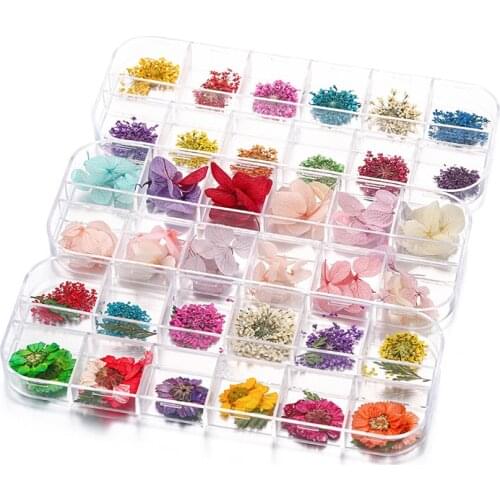 1 Box Real Dried Flower Dry Plants for Epoxy Resin Pendant Necklace Jewelry Making Craft DIY Accessories