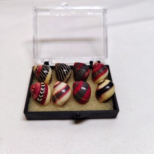One Box 1-2 cm 8 pcs Colorful snail collection