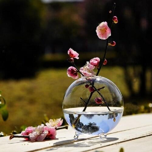 10cm Clear Ball Glass Vase Terrarium Hydroponic DIY Table Garden Decor Flower Transparent Glass Vase