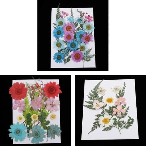 11 / 25pcs Natural Flower Flowers Dried Pressed Leaves For Protective Phone Case