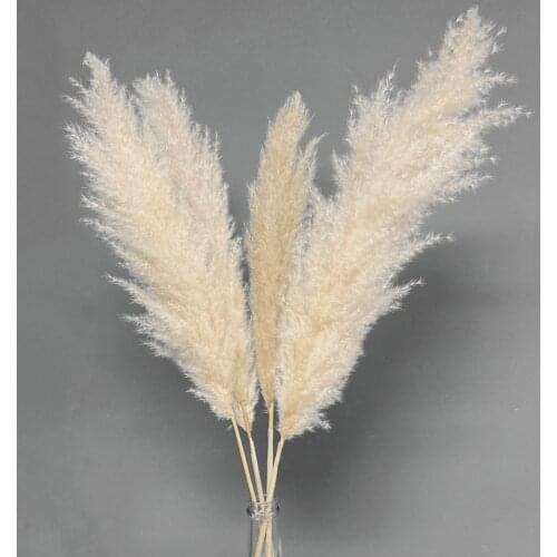 Large Pampas Grass Natural Dried Flowers Bouquet Fluffy Plants For Home Table Decor Wedding Flowers Decorations Christmas Gift