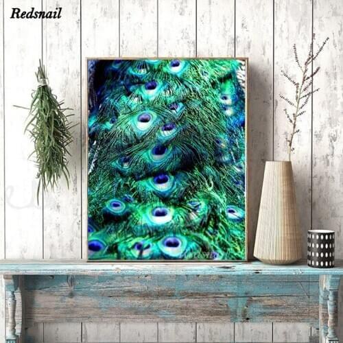 5d diy diamond painting Peacocks Feathers full square/round 3d drill mosaic diamond embroidery Wall Decor EE1043
