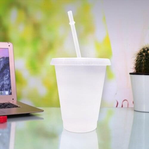 New Dome Lids Acrylic Double Layer Drink Cups With Straw Reusable Clear Water Bottle Transparent Fruit Cup Portable Cups Outdoor