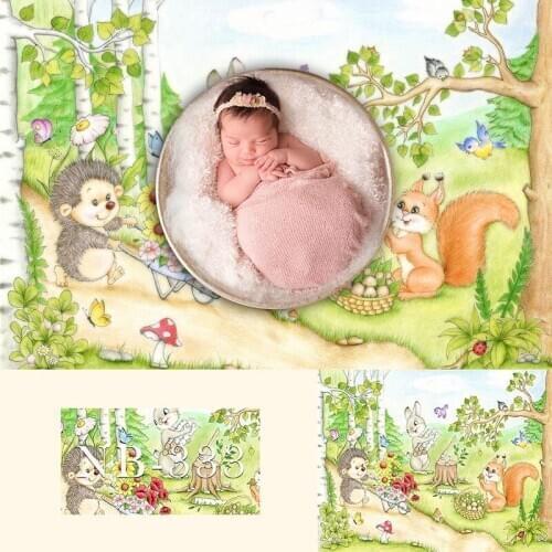 Avezano Photography Background Cartoon Animal Theme Hedgehog Squirrel Rabbit Forests Newborn Baby Shower Kid Banner Photo Studio