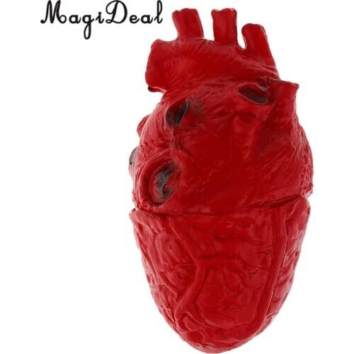 Lifelike Human Heart Model-Chop Shop Body Part Organ Halloween Horror Prop Decorations School Lab Supplies Student Toy 16cm