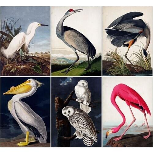 Vintage Bird Audubon Bird Posters Pink Flamingo Snowy Owl Blue Heron White Egret Painting Wall Art Kraft paper