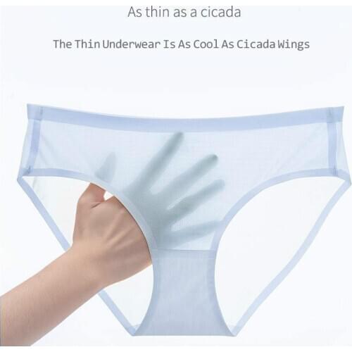 Women Low Waist Mesh Ice Silk Underwear Girl Solid Without Trace Briefs Skin-friendly Breathable Nylon Womens Panties