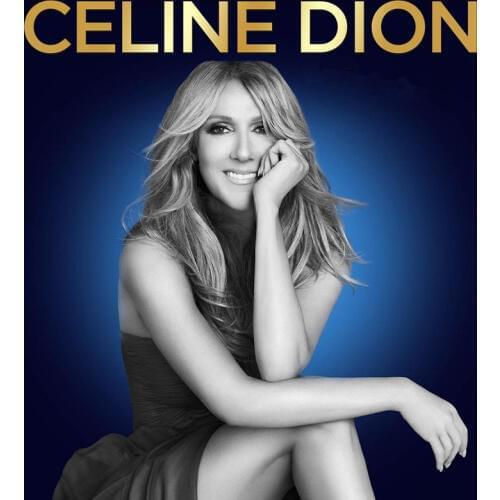 5D DIY celine dion singer 5d diamond painting needlework cross stitch square&round 5d diamond embroidery