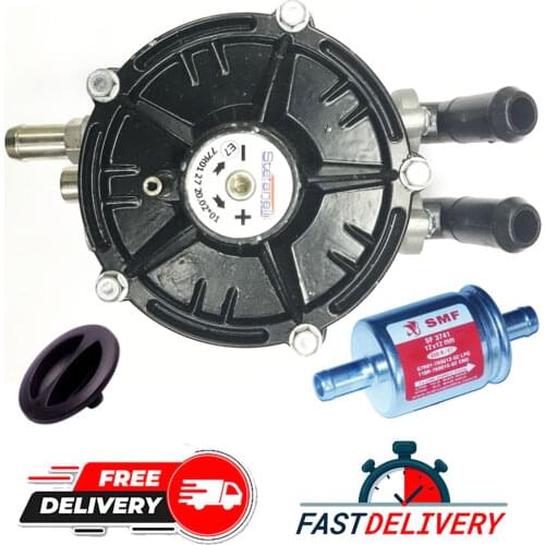 Stefanelli LPG CNG GPL Reducer 90-150 Hp Vaporizer 6mm Gas Inlet + LPG Filter