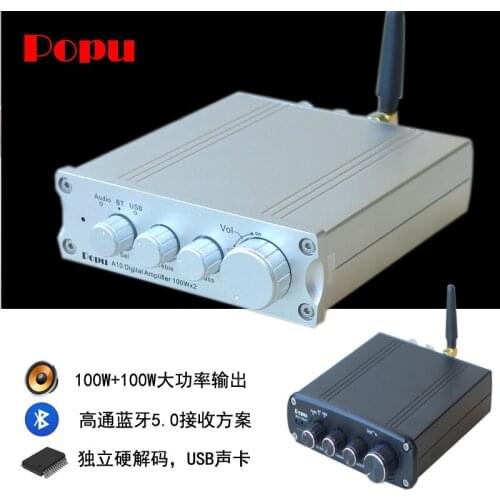 100W*2 High-power Digital Power Amplifier Chassis Bluetooth 5.0 Power Amplifier Hard Decoding TPA3116 with USB /RCA 4-8Ohm