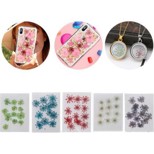 12Pcs Real Pressed Flowers Annes Lace Dried Flowers For Resin Jewelry Making